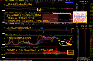上海禾辉信息 第435页