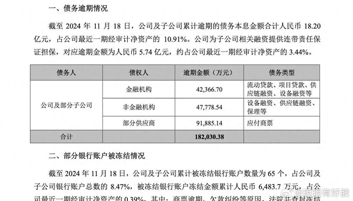 湛江晨鸣纸业蓬勃发展，纸业巨头的最新动态