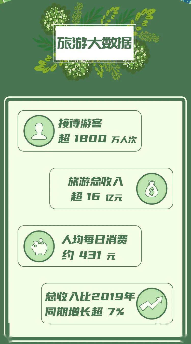 五最新，温馨日常的奇妙旅程
