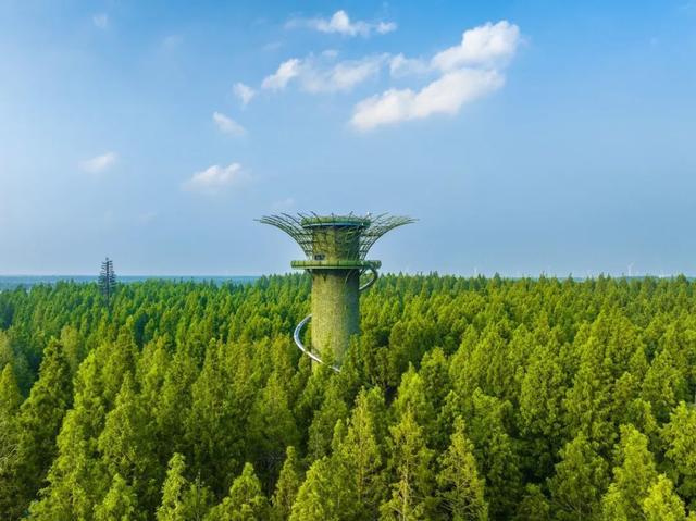 最新时尚启程，自然之旅探寻内心宁静之地