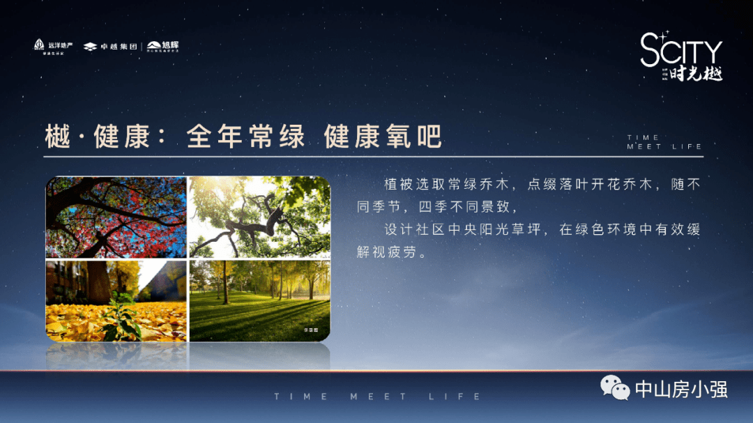 最新碰瓷现象深度揭示，现象分析、观点分享与探讨