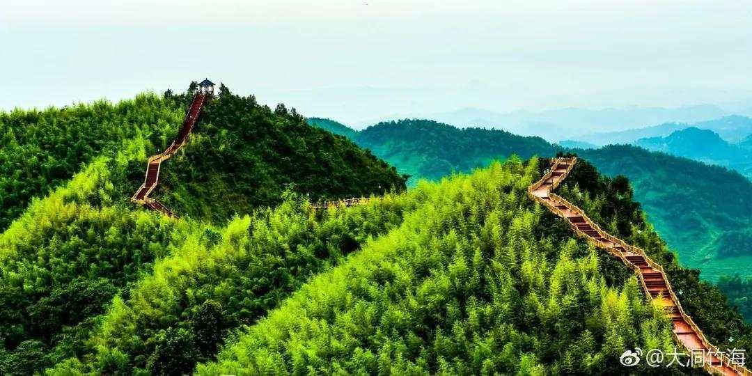 寻找内心平静的旅程，最新音乐之旅
