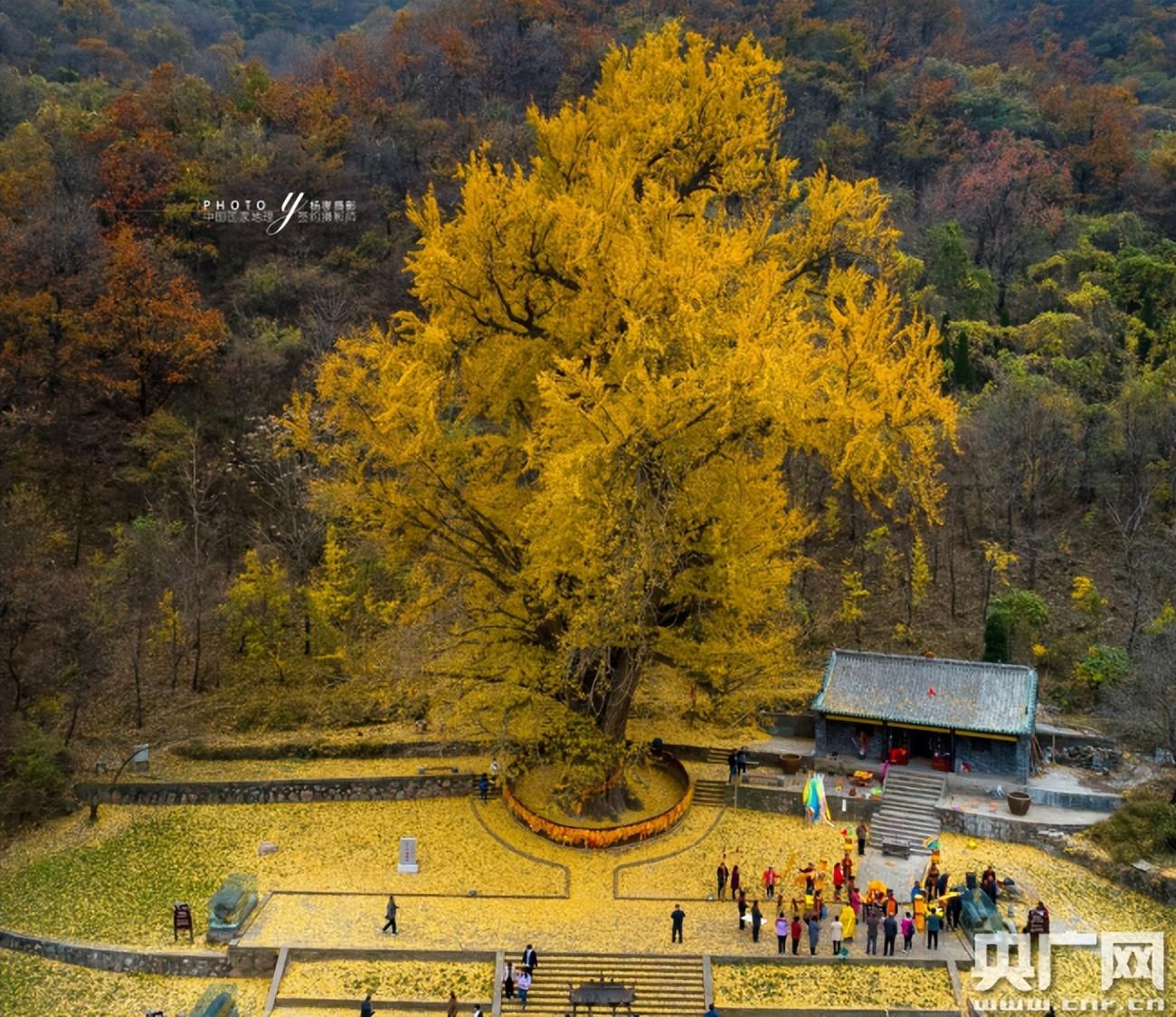 最新电影下载与自然美景之旅，一场心灵的净土之旅