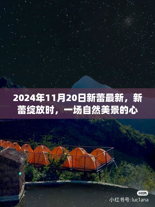 上海禾辉信息 第386页