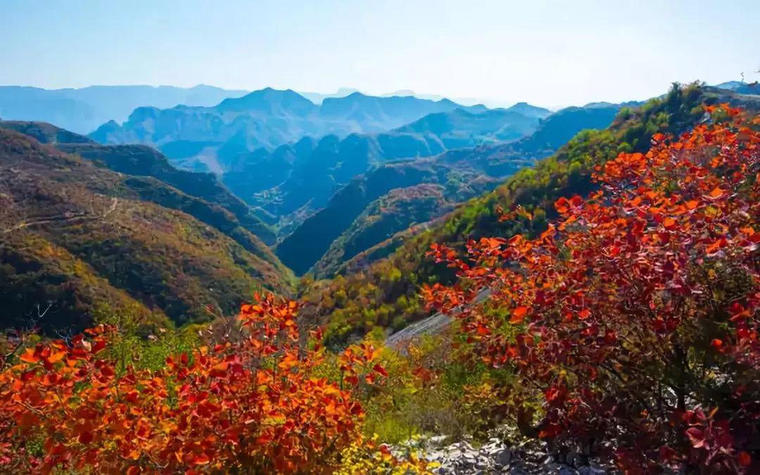 安阳最新招聘，探索自然美景，寻找宁静乐园之路
