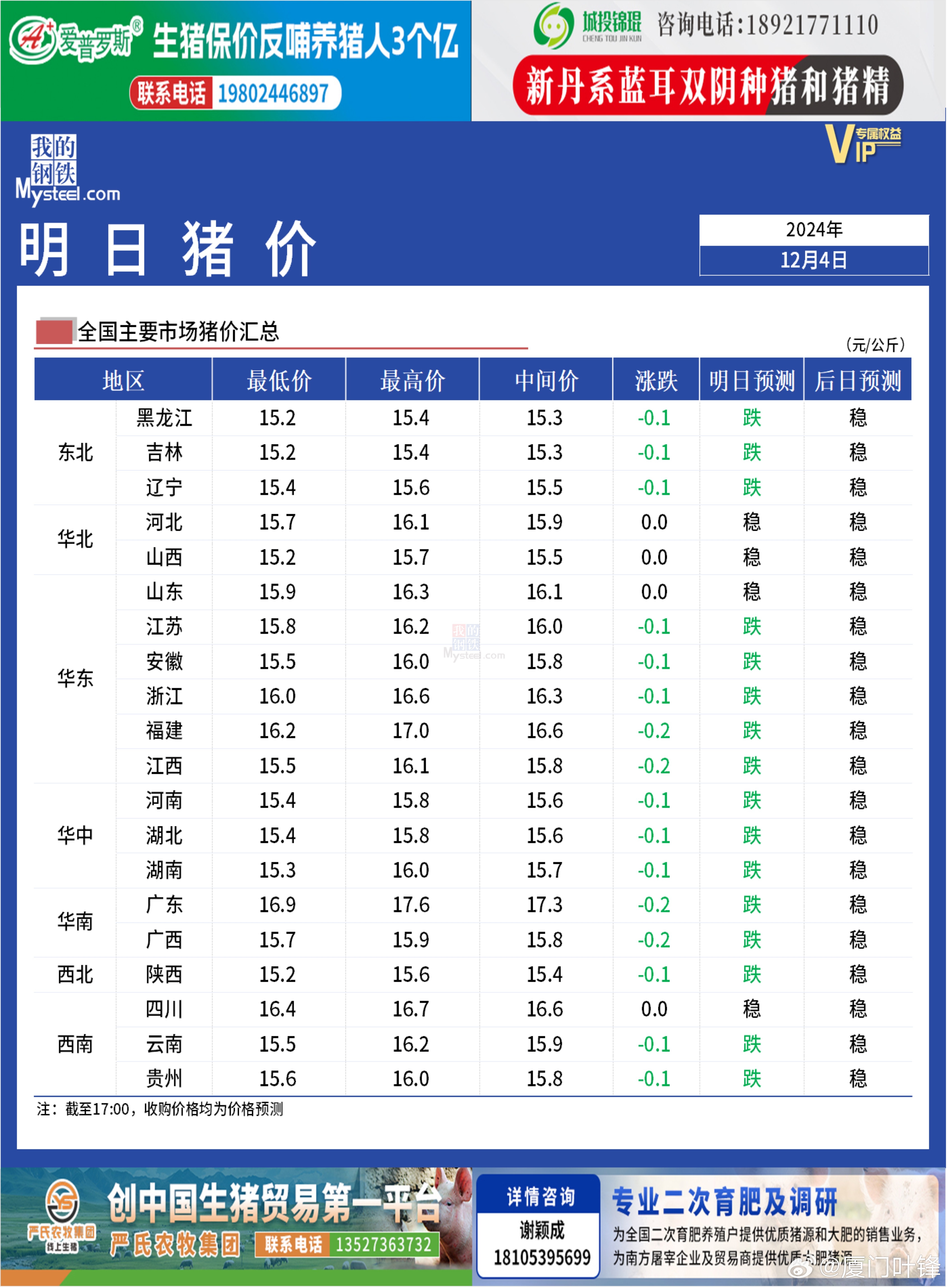 生猪最新价格行情动态与指南