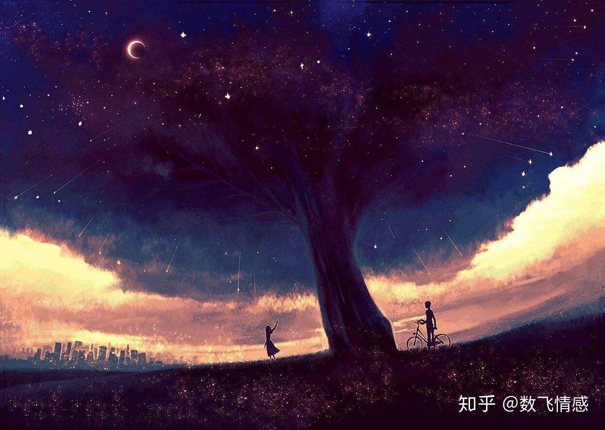 最新热门动漫，自然美景的治愈之旅探索
