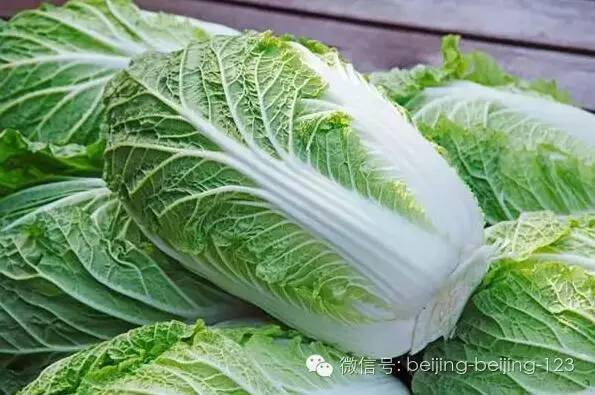 最新开户送白菜攻略，步骤指南
