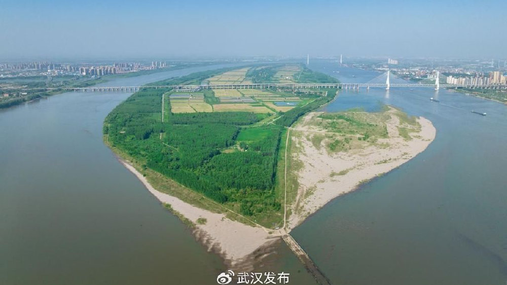 天兴洲最新动态