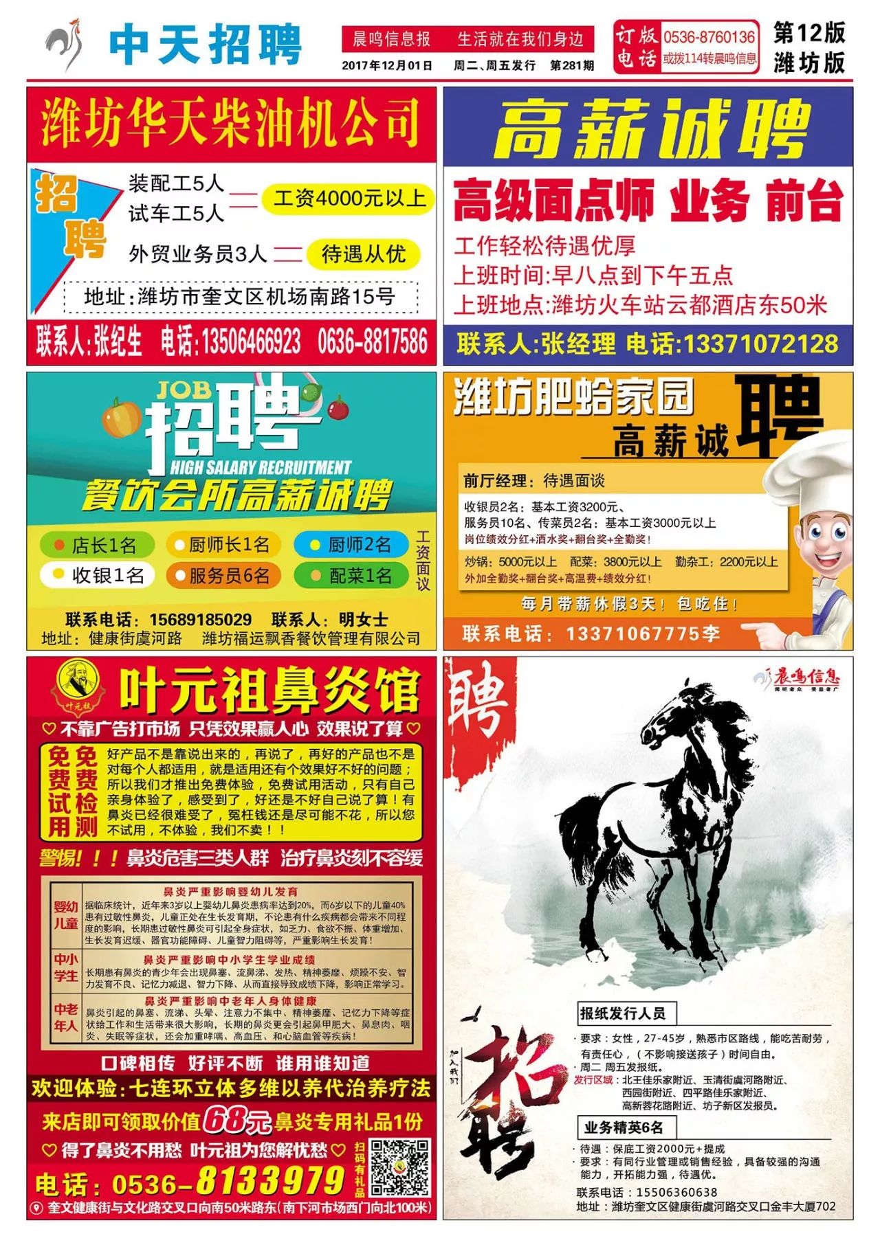 濮阳最新招工信息汇总，启程探索自然美景，寻找内心宁静之路