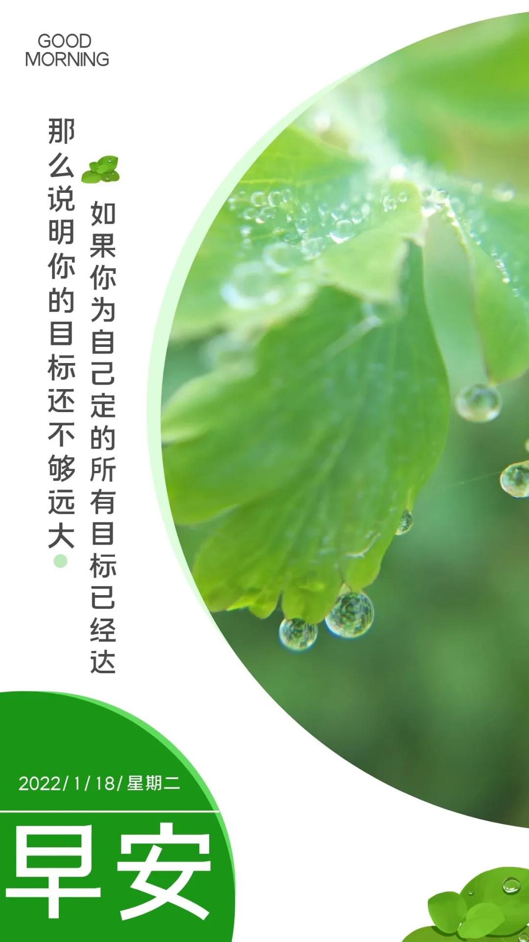 最新楼盘价网，学习变化，拥抱自信与成就，迈向成功之路