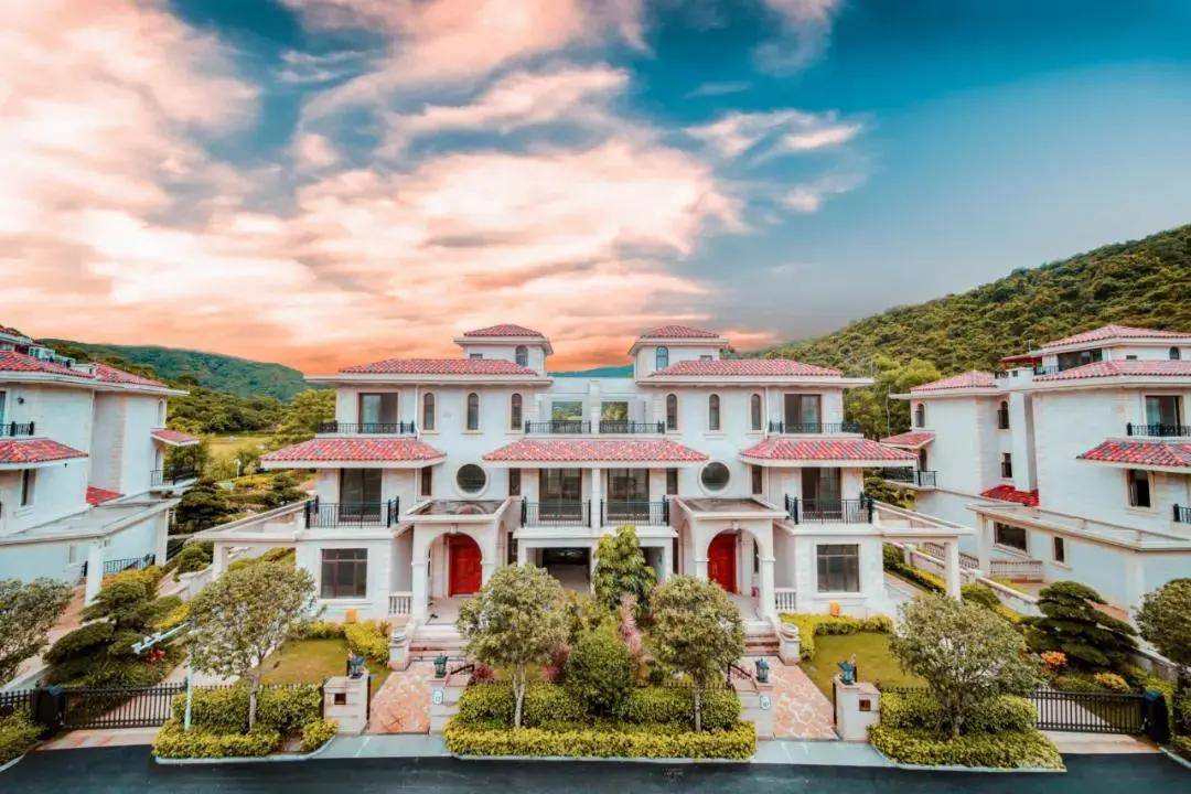 南沙区最新动态，发展脉搏与时代同步前行