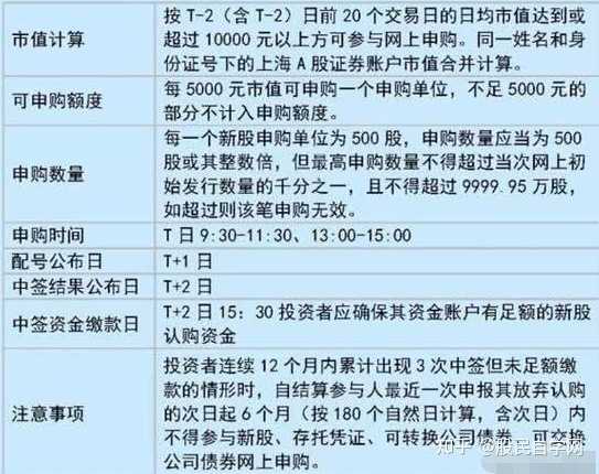 最新申购股票深度解读与观点阐述，投资行为的全面剖析