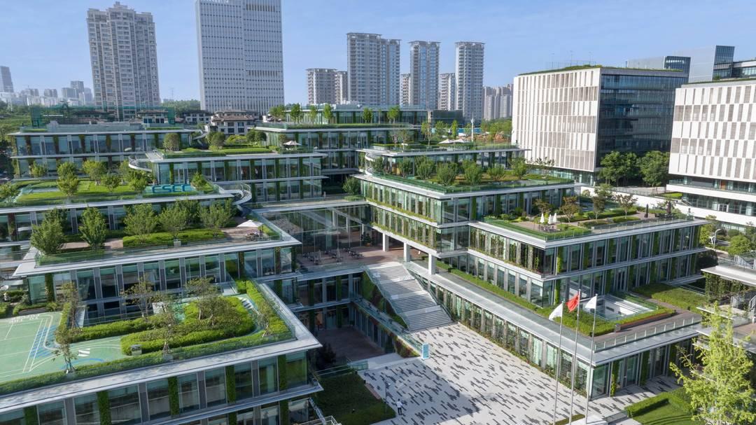 滨湖最新楼盘，自然美景的探索之旅