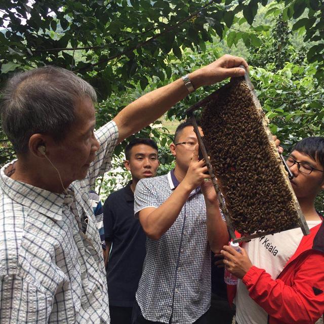仁化最新招聘，人才吸引与地域发展的双向促进战略