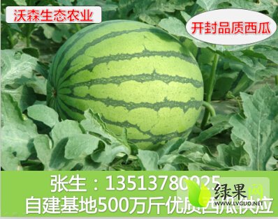 一站式落户 第252页