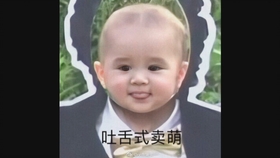 威廉和本特利引领时尚潮流，详细步骤指南助你轻松追踪学习最新时尚趋势