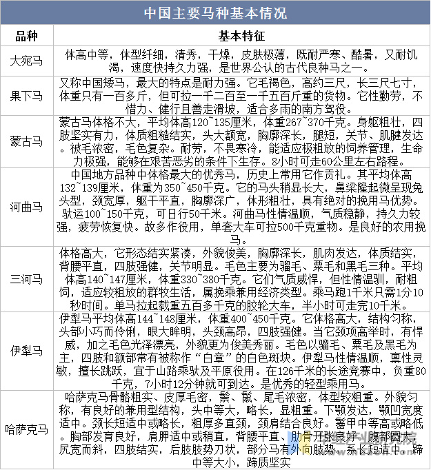 时代变迁与马产业繁荣，2019年买马最新资料解析