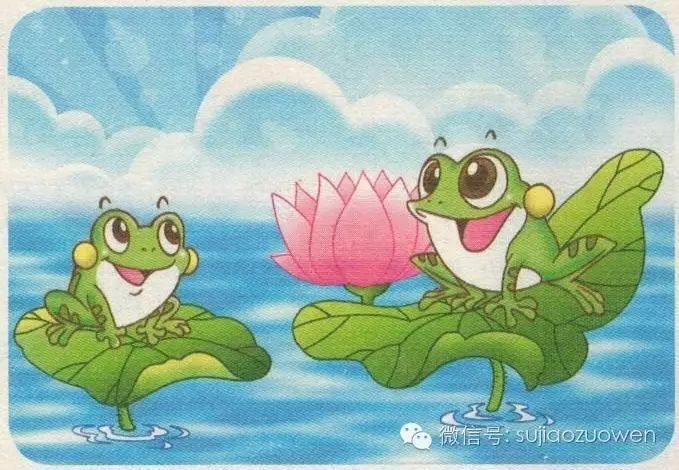 最新青蛙视频，跃动励志，展现变化的力量与自信之美