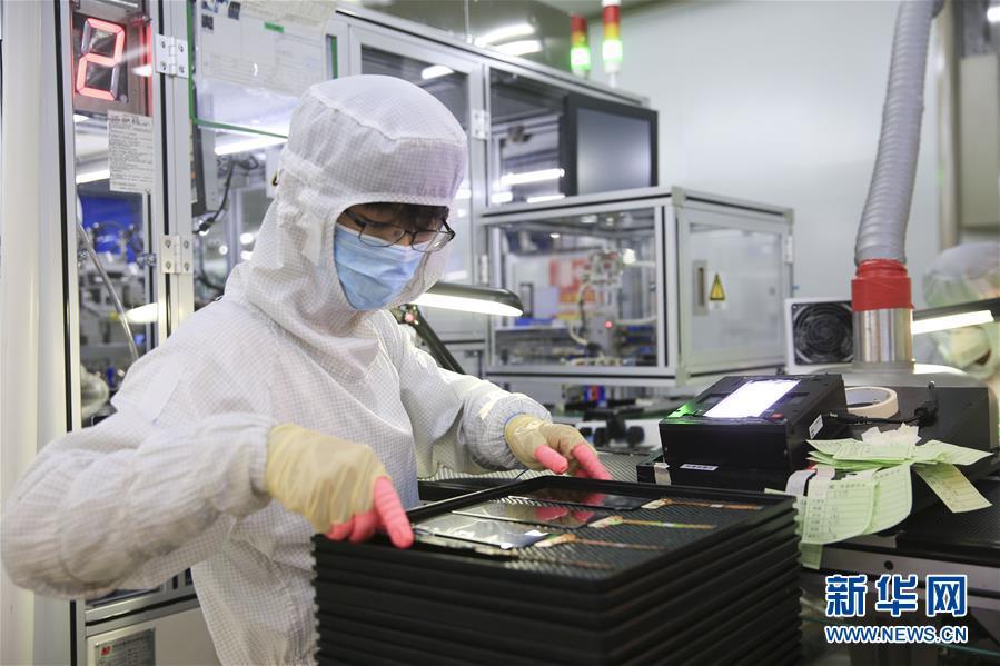 北碚最新疫情概况更新，防控动态与数据更新