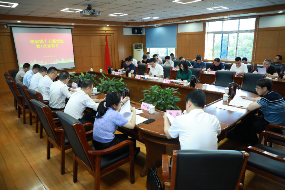 陆家镇最新动态，变化中的力量与自信成就之源