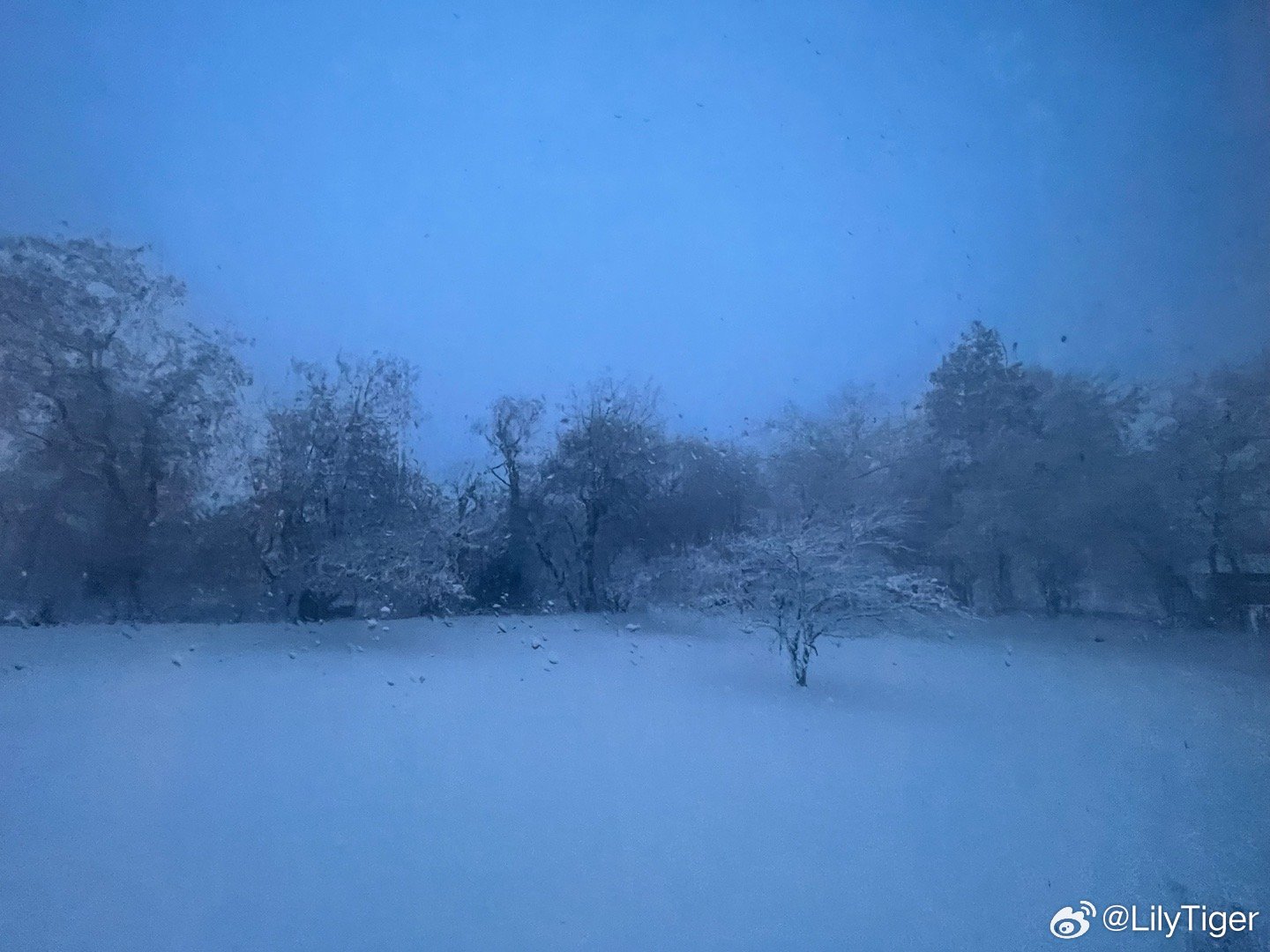 震撼来袭！最新暴风雪预警🌬️❄️