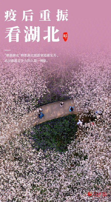 湖北封城之际，心灵之旅静待花开
