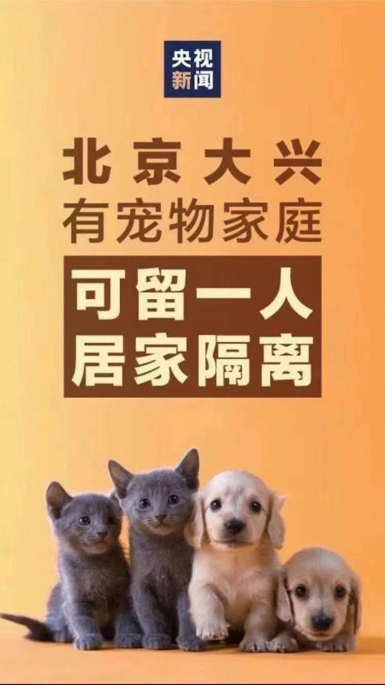 疫情之下猫狗的健康与安全，关注宠物健康，共同抗击疫情的挑战