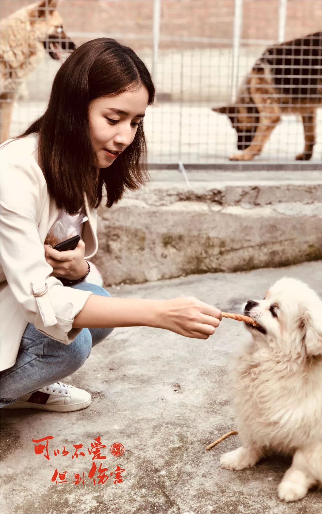 我和狗的最新篇章，续写友谊的温馨故事
