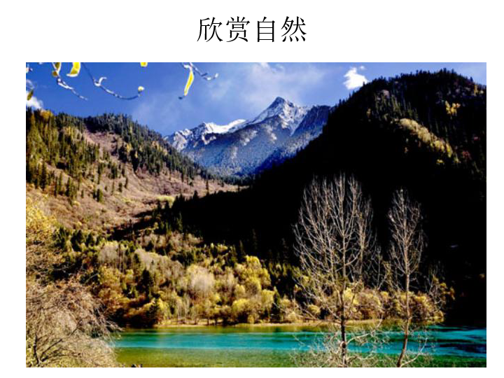 我材助手最新，自然美景的治愈之旅探索