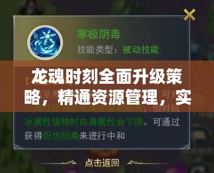 最新龙魂机制，高科技产品的创新之旅