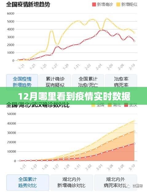 掌握全数疫情最新数据，洞悉动态变化趋势