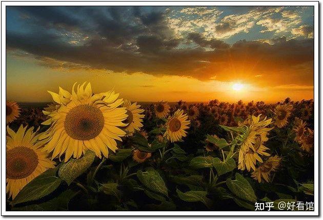 太阳离子最新，自然美景的轻松探索之旅