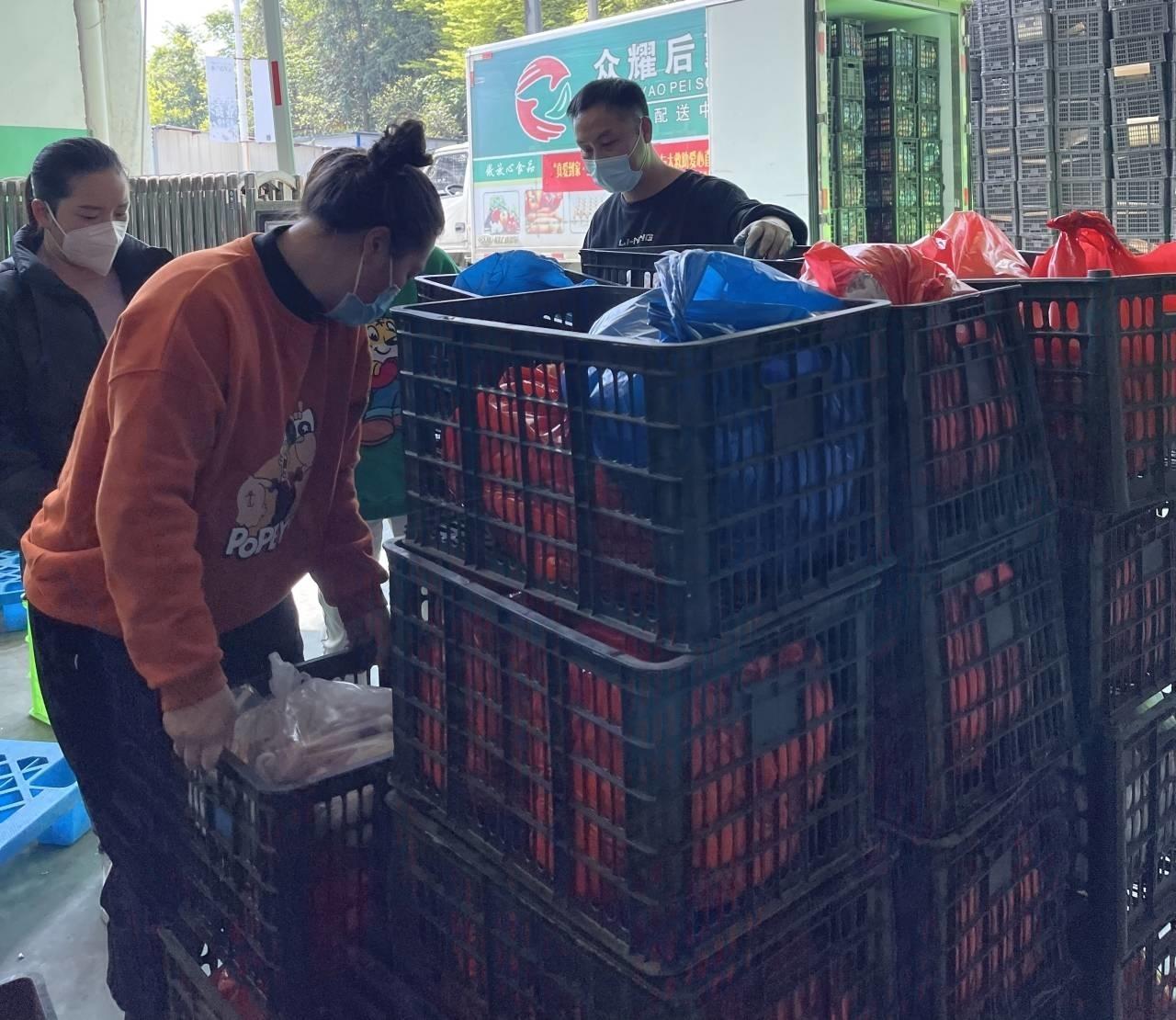 世界疫情最新动态，巷弄深处的独特风味与全球抗疫进展