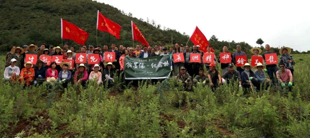 最新型打桩步骤指南与操作详解
