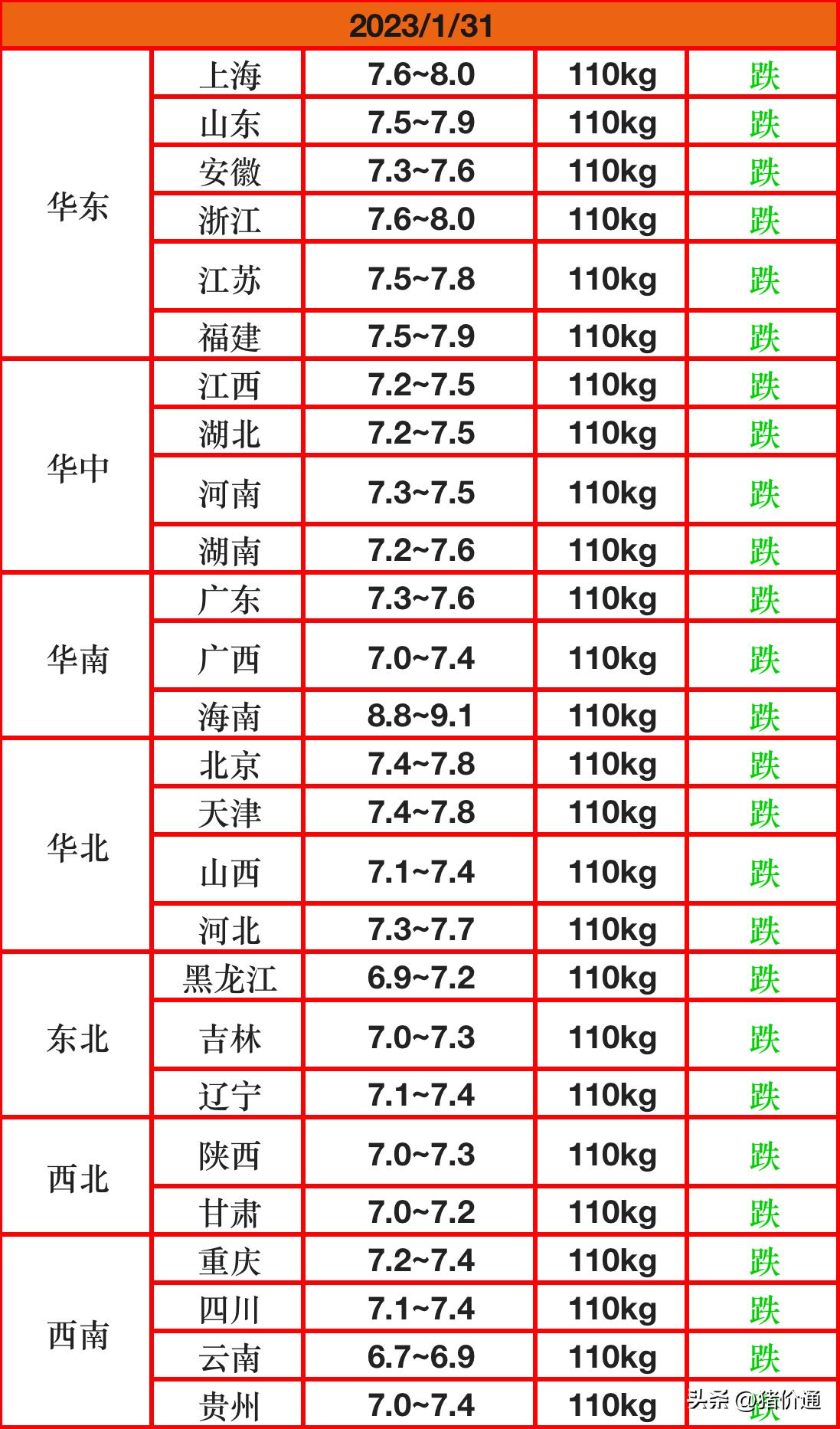 明日生猪价格揭秘与预测🐖