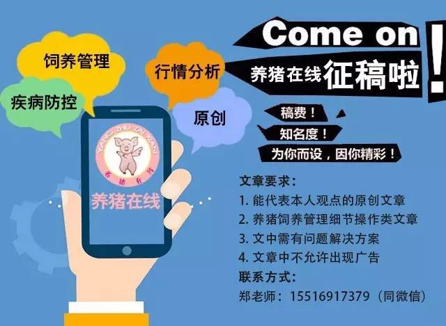 最新污语详解，一份详尽的步骤指南