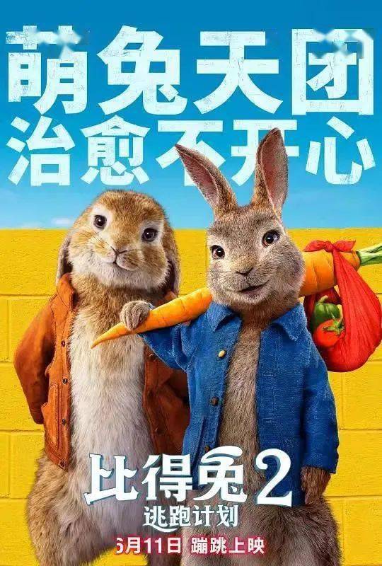 最新Ket真题下的冒险之旅与深厚友情的探索