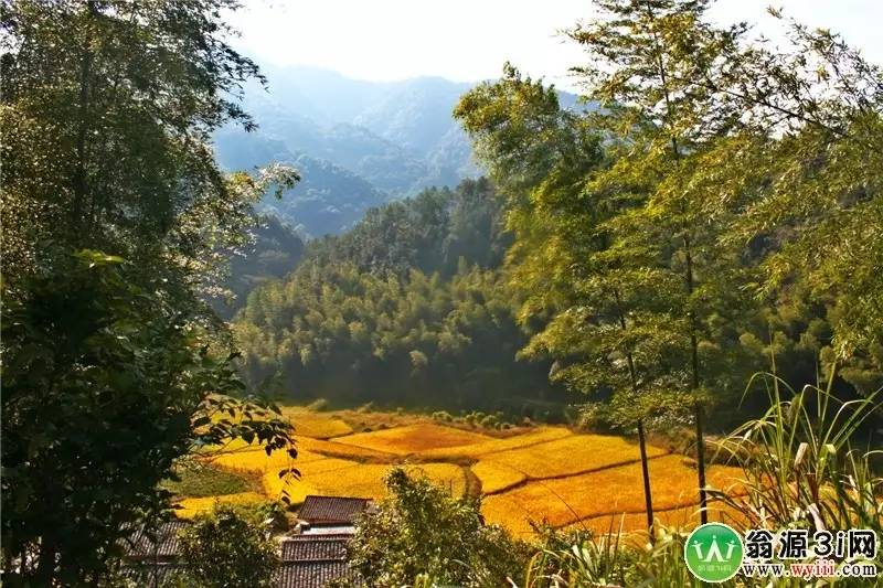 田东最新房价及自然美景探索，寻求内心宁静与平和的旅程