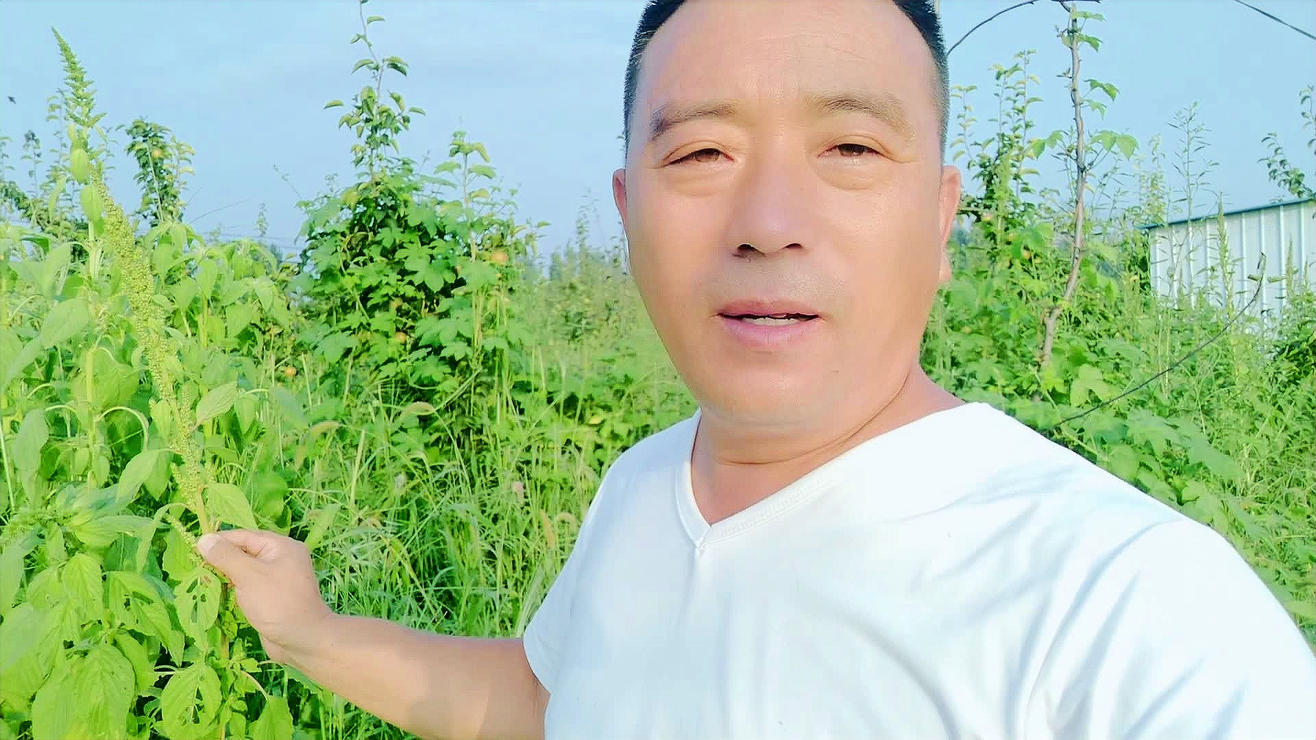 农哥最新视频，时代的绿色印记展现风采
