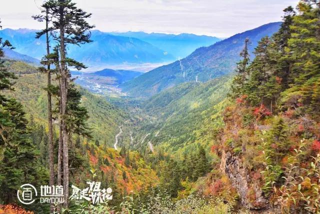 探索自然美景的旅行邀请，最新暂不复业活动开启