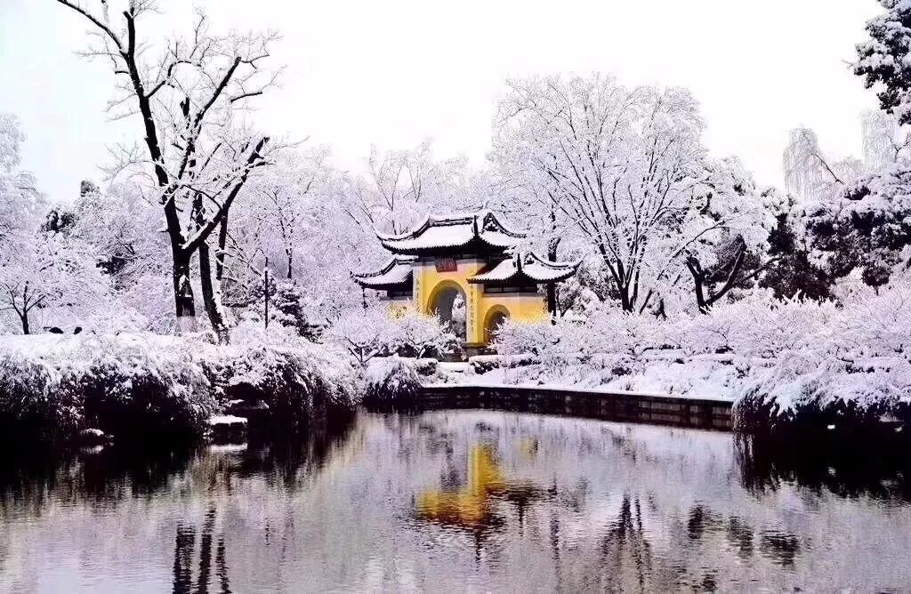岳麓山雪景