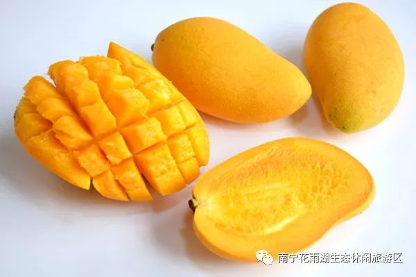 探秘越南芒果上市季节，几月份品尝小巷中的芒果风味奇遇？
