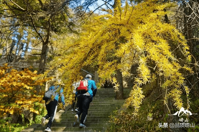 设备保修金最新规定，与自然美景的邂逅之旅