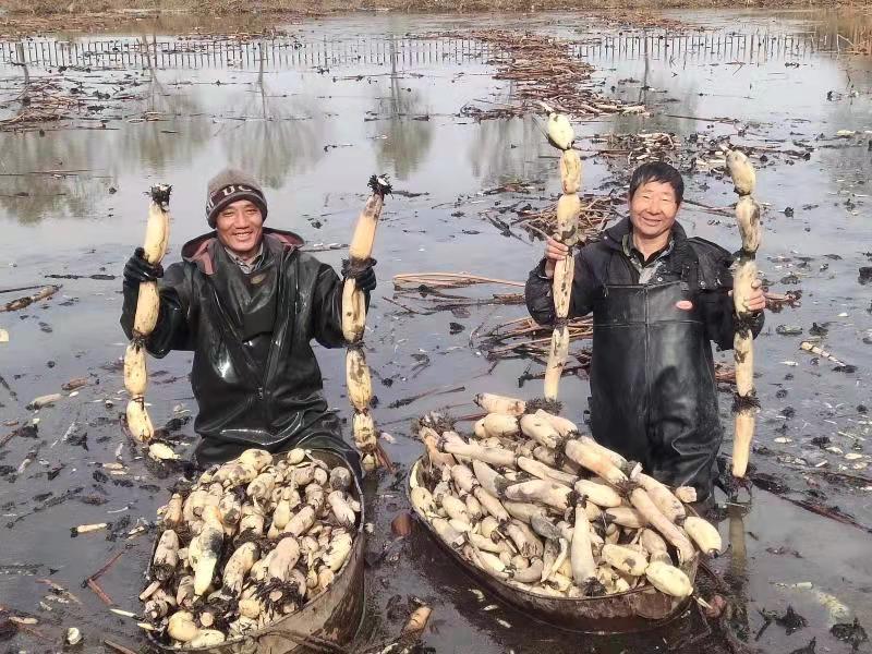 华为公司上市时间及自然美景探索之旅