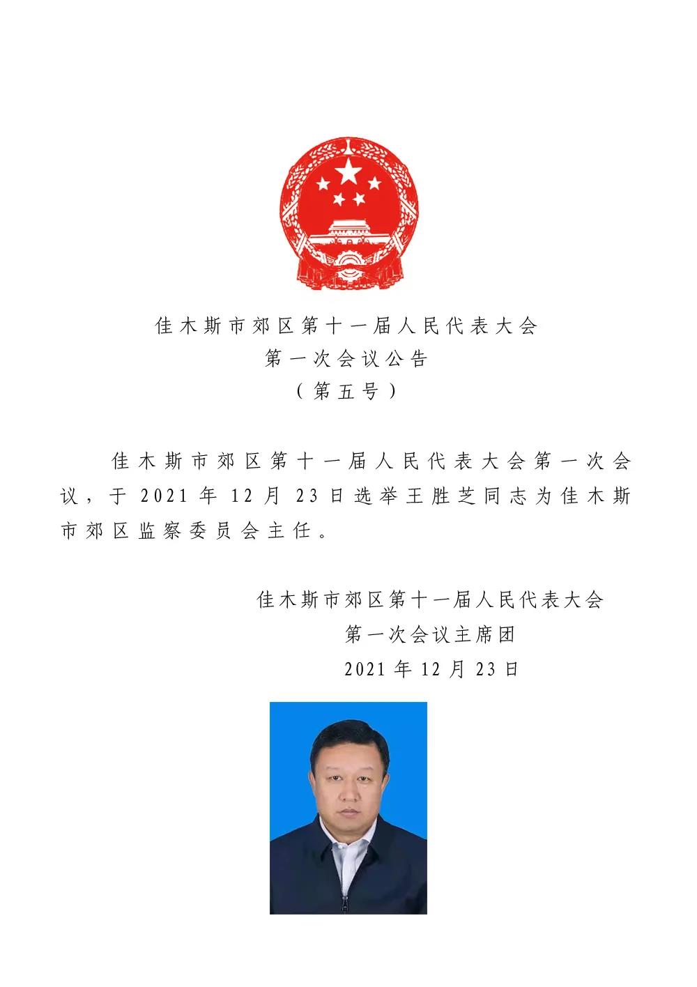 新疆人事任免动态深度解析与观点阐述