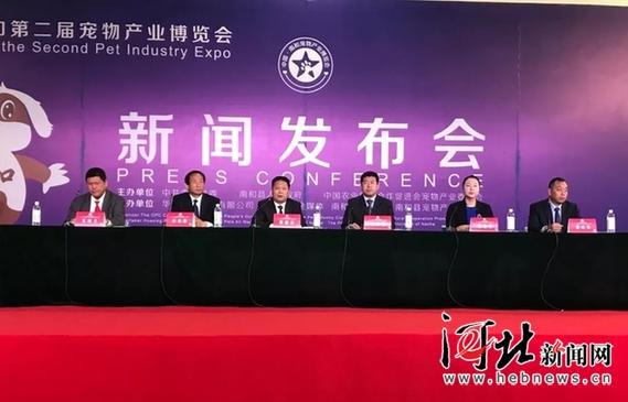 南和新闻最新动态速递