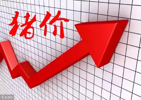 科技引领未来，最新猪价实时更新触手可及