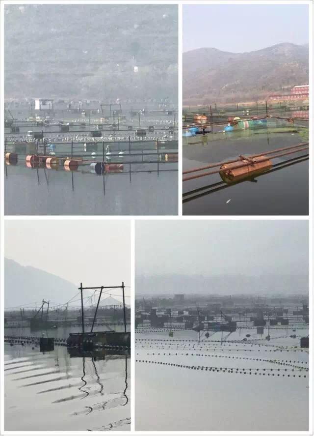 邱庄水库最新动态更新