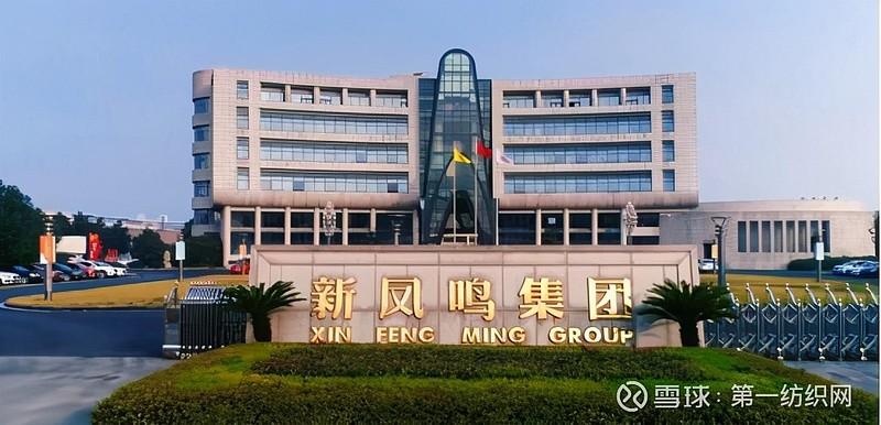 新凤鸣最新动态更新